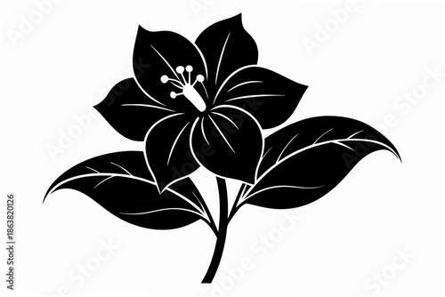 hellebore silhouette line art vector illustration