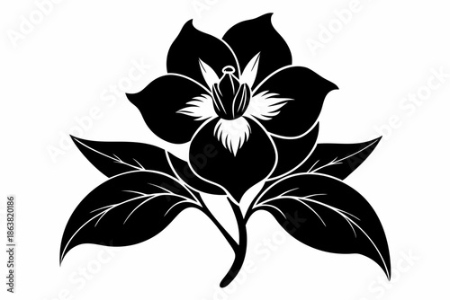 hellebore silhouette line art vector illustration