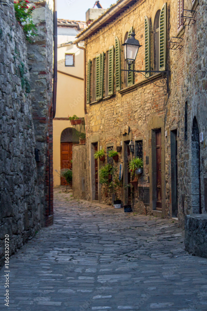 Fototapeta premium The village of Volterra in Tuscany 