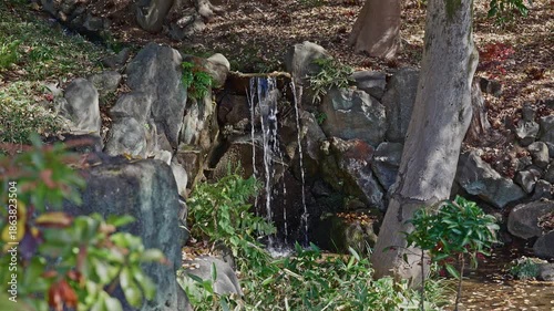 Wallpaper Mural A small waterfall cascades over mossy rocks into a stream within a traditional Japanese landscape garden. Torontodigital.ca