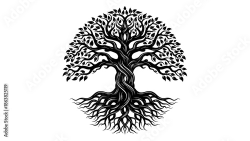 Black and White Illustration of Tree.