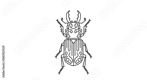 Wallpaper Mural A symmetrical top-down view of a stag beetle illustrated in a clean and simple black and white line art coloring book style. Torontodigital.ca