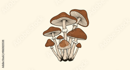 A vintage-style botanical illustration of a cluster of wild brown psilocybin mushrooms on a light beige background.