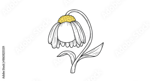 A sad and wilting daisy flower with a drooping head illustrated in a black and white hand-drawn sketch style with a yellow center.