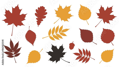 Autumn Leaves Collection with Various Shapes.