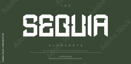 A Seouia , modern font with a touch of elegance and a bold twist for standout designs.