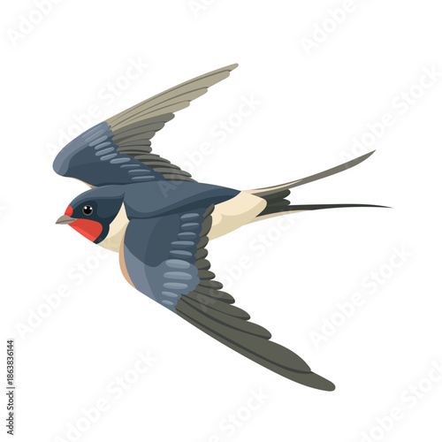 Fotografía Swallow is flying