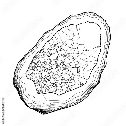 Ethereal Geode: Minimalist Line Art Portrayal Natural World's Unexpected Beauty | Clean, isolated vector art for creative projects.