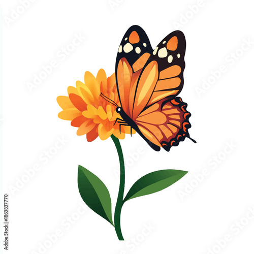  Monarch butterfly on a vibrant orange flower with green leave