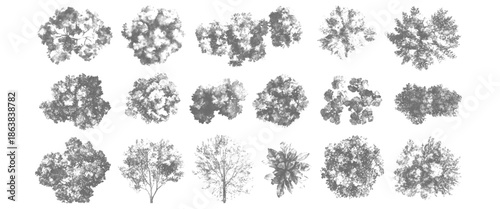 Vector White And Black Artistic Nature Organic Tree Shapes Collection Isolated on White