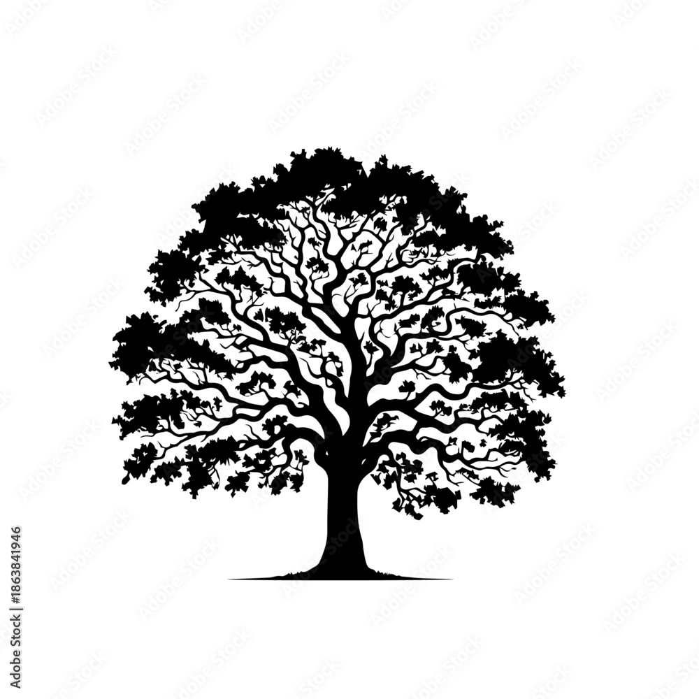 Fototapeta premium Oak Tree Vector Illustration