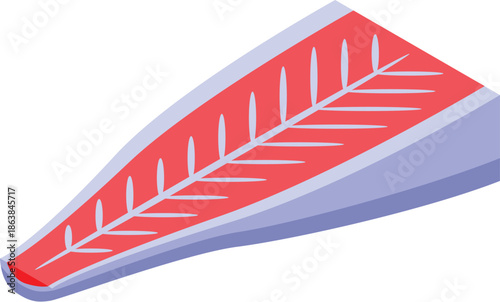 Isometric view of a fresh salmon fillet, showcasing the vibrant red meat and contrasting white fat layers