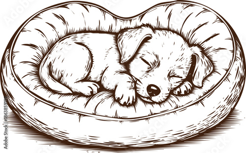 An engraving art style illustration hand drawn adorable puppy sleeping peacefully in a heartshaped pet bed, handdrawn sketch style illustration