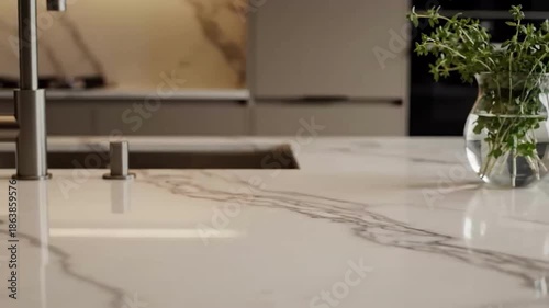 Elegant Kitchen Design Showcasing Marble Countertop and Fresh Herbs Decoration Arrangement