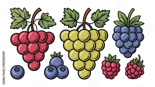 Variety of Juicy Berries and Grapes: A delightful assortment of colorful berries and grapes, perfect for illustrating fresh, natural, and healthy eating themes.