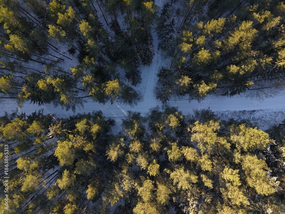 Fototapeta premium Top-down aerial view of snowy forest road cutting through pine trees