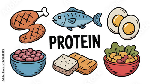 Essential Protein Sources: A vibrant illustration showcases a variety of protein-rich foods, perfect for health and balanced diet. This image highlights the building blocks for a healthy lifestyle.