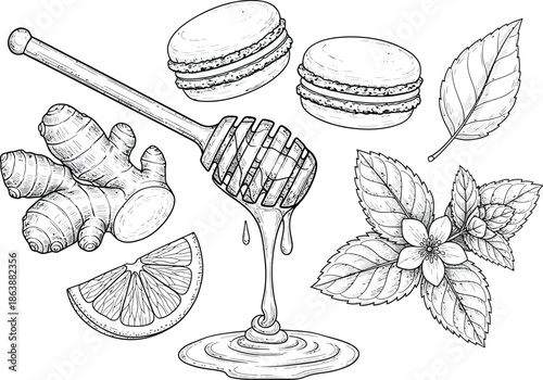 Sweet and zesty elements with honey, ginger, lemon, mint, and macarons