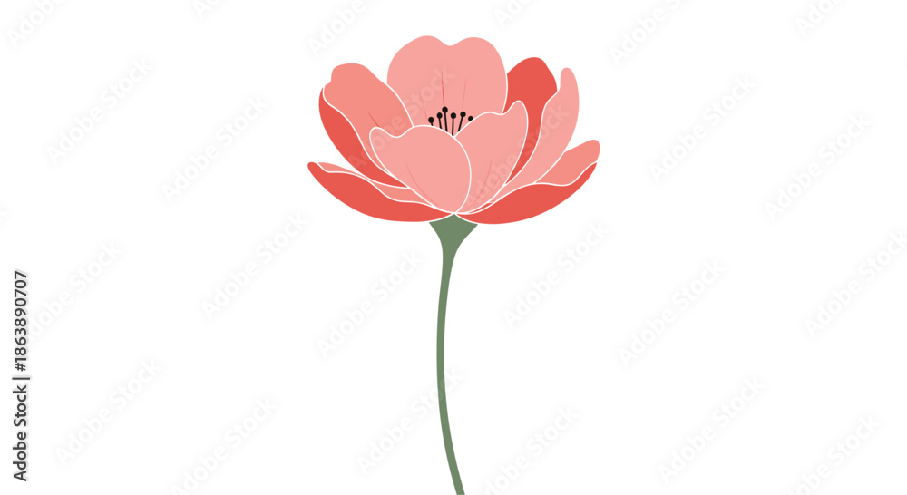 Obraz premium Simple and elegant illustration of a single pink poppy flower with a green stem isolated on a plain white background design.