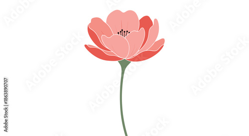 Simple and elegant illustration of a single pink poppy flower with a green stem isolated on a plain white background design.