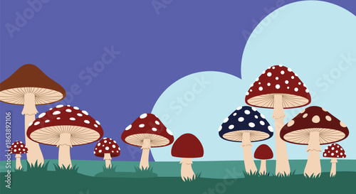 Colorful illustration shows many spotted mushrooms in red blue and brown colors on a grassy field under a stylized sky.