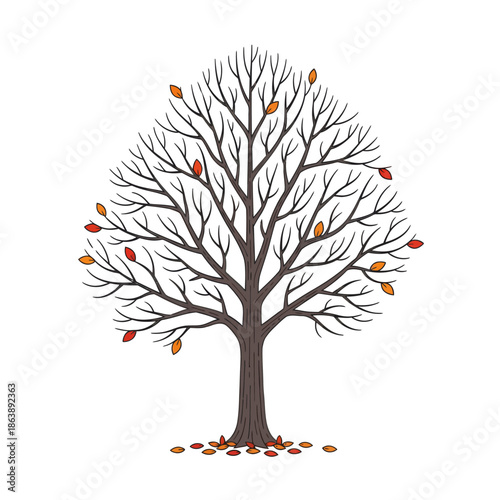 Bare Autumn Tree with Few Falling Leaves and Scattered Leaves on Ground, Isolated