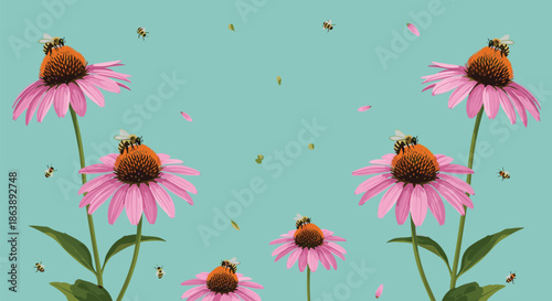 Collection of pink echinacea flowers with busy bumblebees collecting pollen against a solid light blue sky background for nature projects.