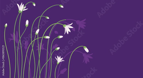Elegant illustration of delicate white flowers with green stems blowing in the breeze against a deep solid purple background for contrast.