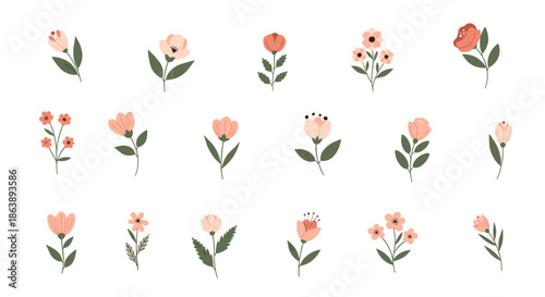 Systematic grid of many different small flower and plant species illustrations with green leaves on a plain white background for reference.