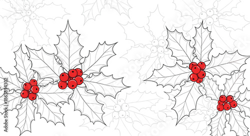 Detailed line art illustration of holly branches with bright red berries is set on a white background with faint outlines.
