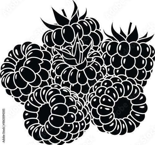 Blackberries vector illustration silhouttee on transparent background AI Generative