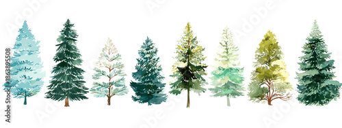 christmas trees isolated on white