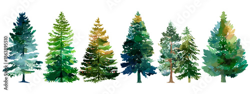 christmas trees isolated on white