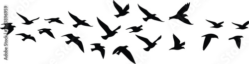 Black silhouette of birds flying above grass in a simple nature vector illustration
