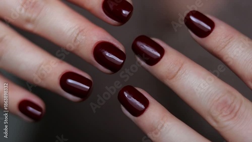 Female hands with dark burgundy red nails 