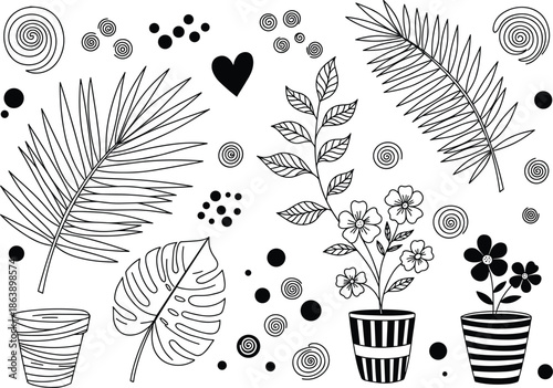 botanical, plants, foliage, leaves, nature, tropical, greenery, potted, flowers, decorative, abstract, garden, indoor, outline, drawing, vector, illustration, design, artwork, ornamental