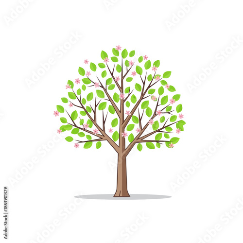 Spring Blossom Tree with Pink Flowers and Green Leaves, Isolated on White Background