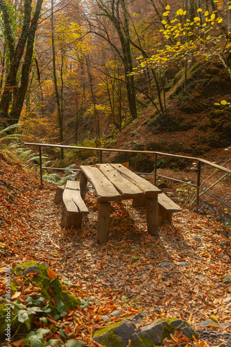 Two old wooden benches and a table in the forest for recreation