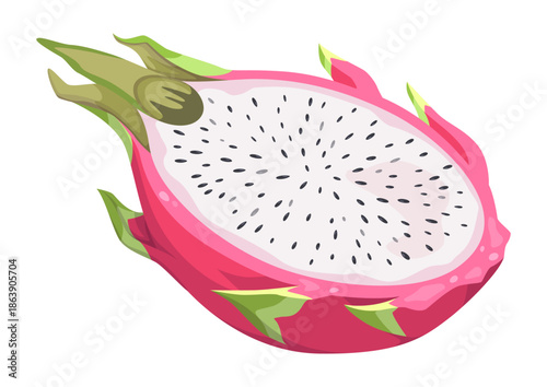 Half of a dragon fruit vector illustration. Pitaya or pitahaya cut in half. Tropical exotic summer fruit isolated on a white background.