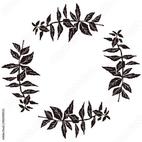 ミントの手書きモノクロイラスト