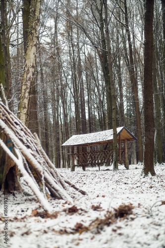 Wallpaper Mural A wooden hay rack for deer and a birdhouse on a tree trunk are located in a snow-covered forest during winter. Torontodigital.ca