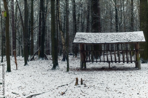 Wallpaper Mural A wooden hay rack for deer and a birdhouse on a tree trunk are located in a snow-covered forest during winter. Torontodigital.ca