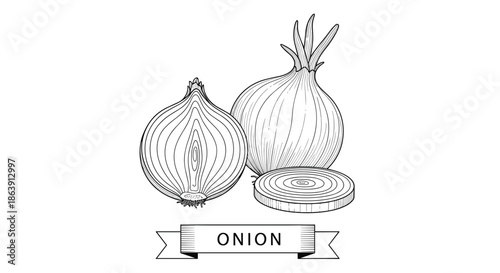 Black and white line art illustration of a whole onion, a halved onion, and a slice with a decorative banner below.