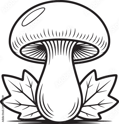 A graphic element featuring a stylized mushroom cap, stem, gills, and surrounding plant life, designed with bold contours and an emphasis on natural shapes. 