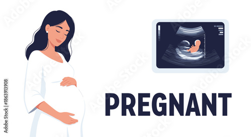 Smiling pregnant woman gently holding her belly, next to an ultrasound image of the fetus, with 'Pregnant' text.