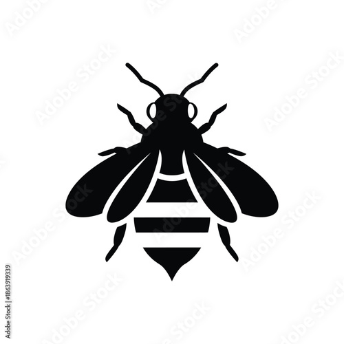 a simple black and white illustration depicts a detailed bee with clearly visible wings and body segments high quality professional