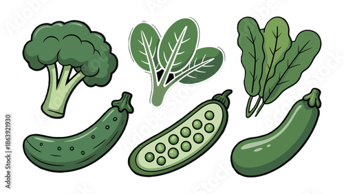 Green Vegetables Collection: Vibrant illustrations of assorted green vegetables. Fresh, organic and ready for culinary delight. Featuring broccoli, spinach, and zucchini.