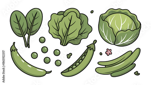 Green Garden Variety: A collection of fresh, green vegetables like leafy spinach, cabbage and peas arranged artfully, inviting healthy eating.
