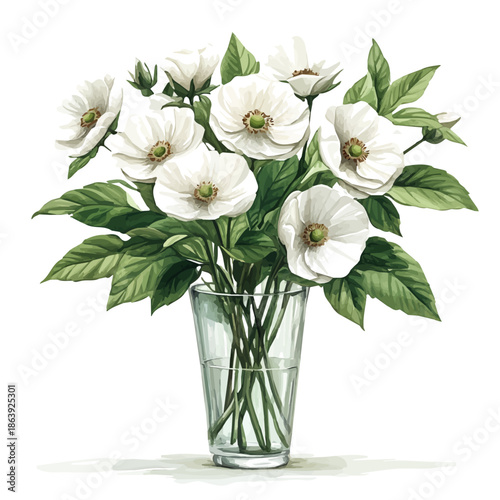 watercolor vector of A Wood Anemone In A Vase, isolated on a white background.