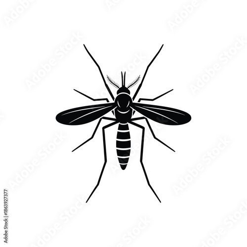 a detailed black and white silhouette of a mosquito displaying its prominent wings long legs and segmented body structure